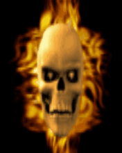 Skull - tête de mort animée