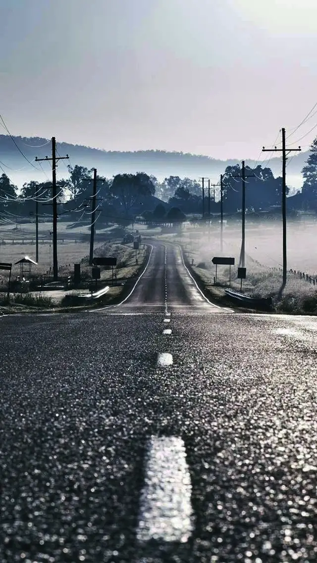 Road-to-Fog