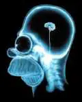 Le cerveau d'Homer Simpson